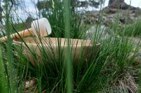 IMG-20220428-WA0011